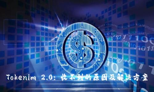 Tokenim 2.0: 收不到的原因及解决方案