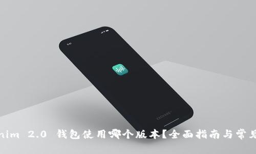 Tokenim 2.0 钱包使用哪个版本？全面指南与常见问答