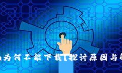 Tokenim为何不能下载？探讨
