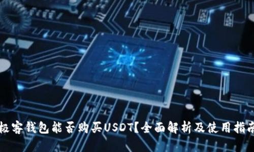 极客钱包能否购买USDT？全面解析及使用指南
