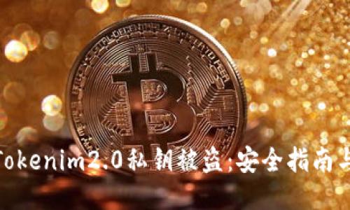 如何防止Tokenim2.0私钥被盗：安全指南与应对措施