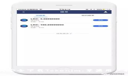 如何安全下载Tokenim：苹果用户指南