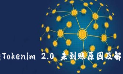 火币转Tokenim 2.0 未到账原因及解决方案