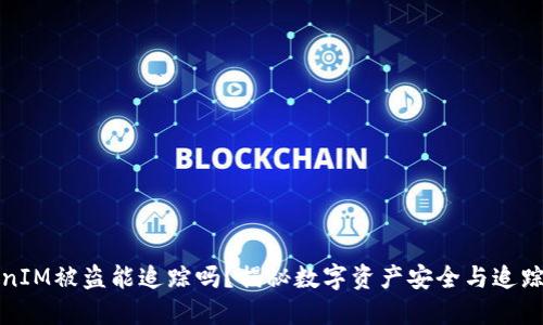 TokenIM被盗能追踪吗？揭秘数字资产安全与追踪技术