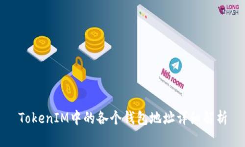 TokenIM中的各个钱包地址详细解析