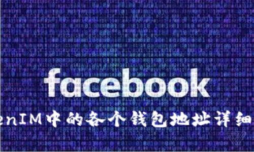 TokenIM中的各个钱包地址详细解析