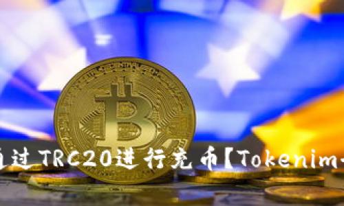 如何通过TRC20进行充币？Tokenim全解析