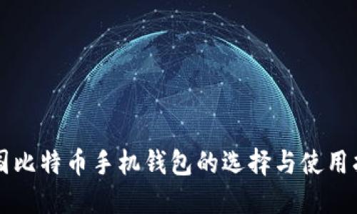 中国比特币手机钱包的选择与使用指南