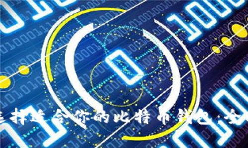 如何选择适合你的比特币钱包：全面指南