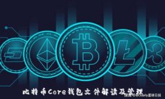  比特币Core钱包文件解读及