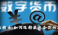 世界钱包与比特币：如何