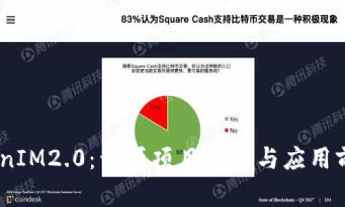 TokenIM2.0：开源项目解读与应用前景 