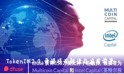 TokenIM2.0：开源项目解读与应用前景 