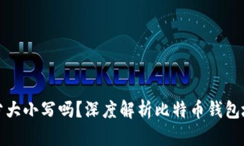 比特币钱包的地址分大小写吗？深度解析比特币钱包地址的规则与安全性