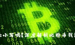 比特币钱包的地址分大小