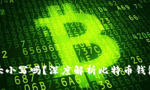 比特币钱包的地址分大小写吗？深度解析比特币钱包地址的规则与安全性