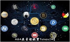   ADA是否能放置TokenIM？
