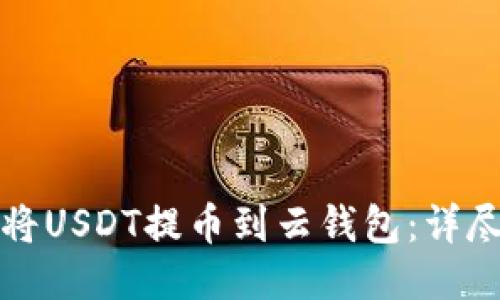 如何将USDT提币到云钱包：详尽指南