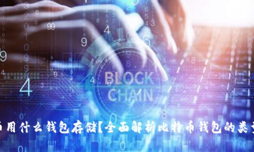 : 比特币用什么钱包存储？全面解析比特币钱包的类型与选择
