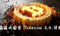 如何在国内安装 Tokenim 2