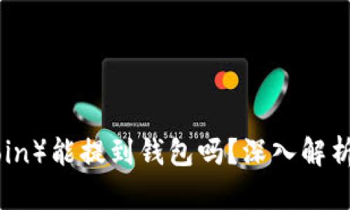 屎币（Shitcoin）能提到钱包吗？深入解析及操作指南