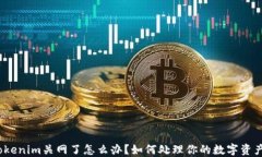 Tokenim关网了怎么办？如何