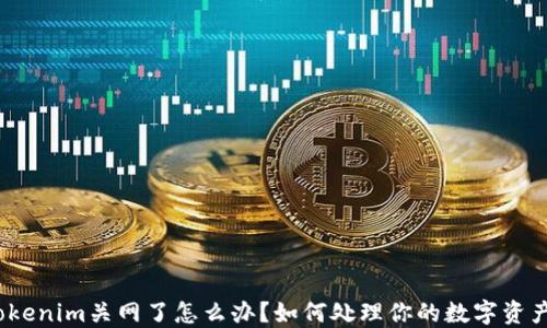 
Tokenim关网了怎么办？如何处理你的数字资产？