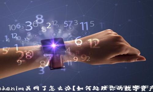 
Tokenim关网了怎么办？如何处理你的数字资产？