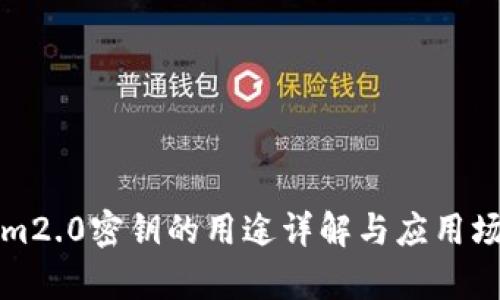 tokenim2.0密钥的用途详解与应用场景分析