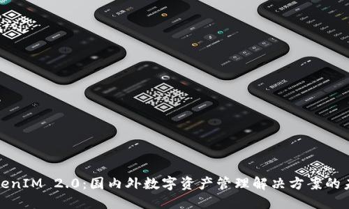 TokenIM 2.0：国内外数字资产管理解决方案的未来