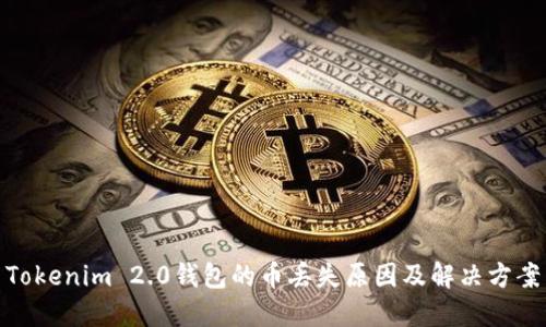 Tokenim 2.0钱包的币丢失原因及解决方案