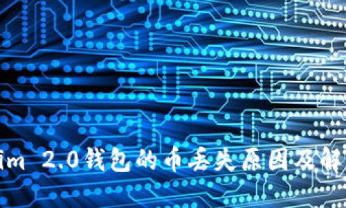 Tokenim 2.0钱包的币丢失原因及解决方案