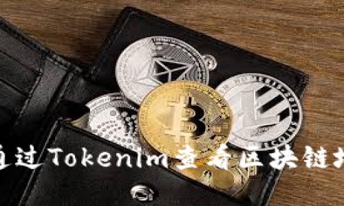 : 如何通过Tokenim查看区块链地址信息
