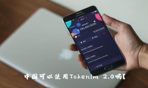 中国可以使用Tokenim 2.0吗？
