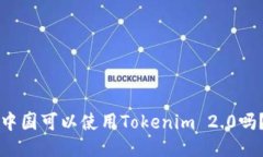 中国可以使用Tokenim 2.0吗？