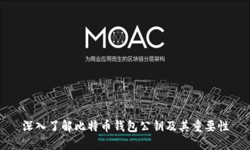 深入了解比特币钱包公钥及其重要性