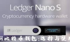 俄罗斯比特币钱包：选择