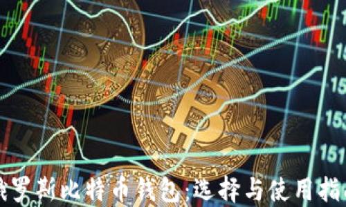 
俄罗斯比特币钱包：选择与使用指南