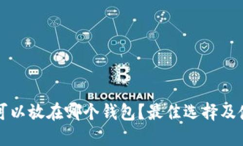 艾达币可以放在哪个钱包？最佳选择及使用指南