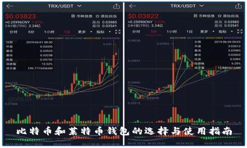 比特币和莱特币钱包的选择与使用指南