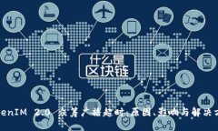 TokenIM 2.0 众筹广播超时：