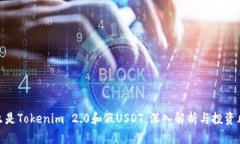 什么是Tokenim 2.0和假USDT：