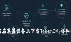 如何在苹果设备上下载T