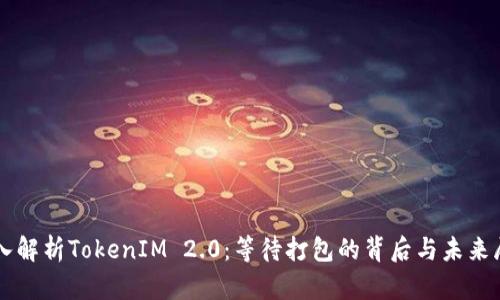 深入解析TokenIM 2.0：等待打包的背后与未来展望