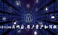 Tokenim关网后，用户资产如