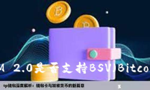 TokenIM 2.0是否支持BSV（Bitcoin SV）？
