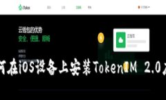 如何在iOS设备上安装TokenIM 2.0应用