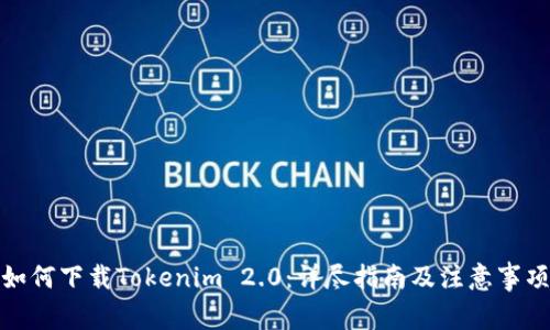 如何下载Tokenim 2.0：详尽指南及注意事项