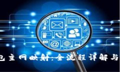 IM Token钱包主网映射：全流程详解与常见问题解答