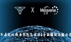 男子丢失比特币钱包怎么办？全面解析与解决方